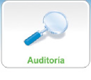 btn_nosotros_auditoria.jpg
