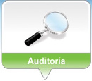 btn_nosotros_auditoria_on.jpg