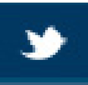 twitter_btn.jpg