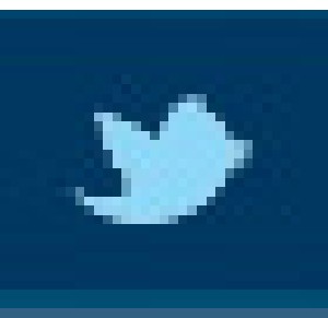 twitter_btn_on.jpg